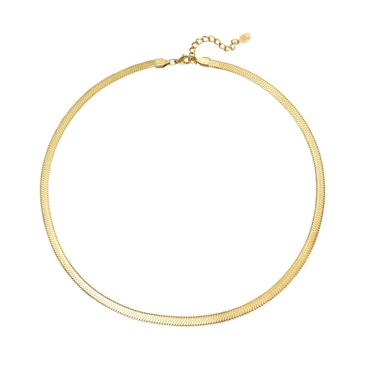 Ketting Vieve